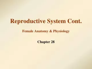 Reproductive System Cont. Female Anatomy &amp; Physiology