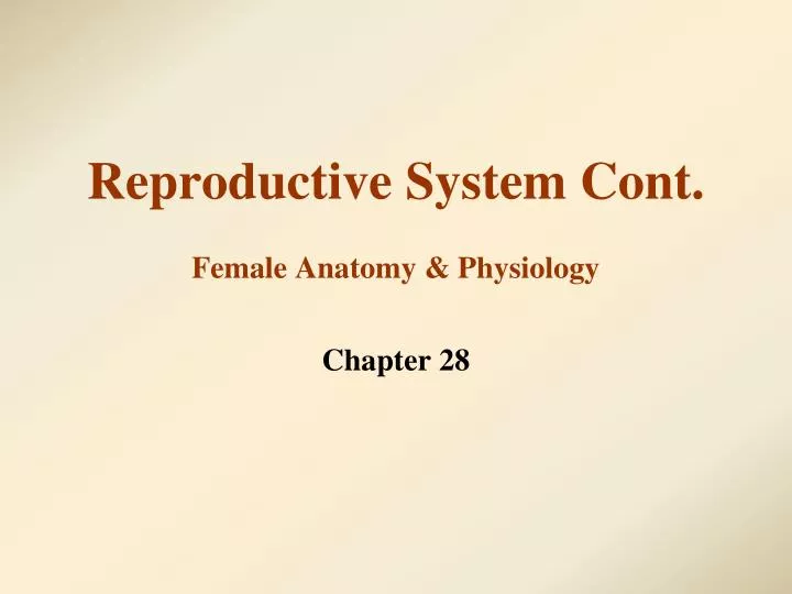 reproductive system cont female anatomy physiology