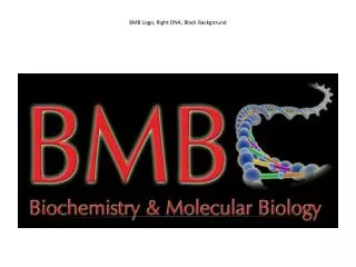 BMB Logo, Right DNA, Black Background