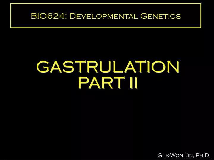 bio624 developmental genetics