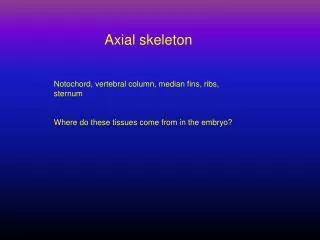Axial skeleton