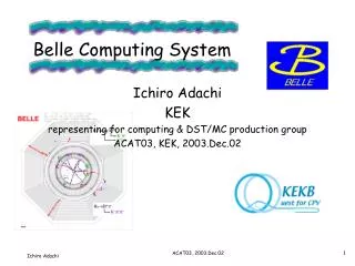 Belle Computing System