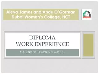 Diploma Work Experience