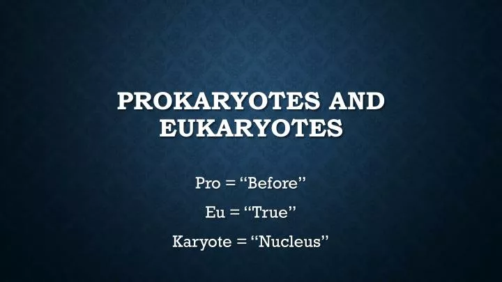prokaryotes and eukaryotes