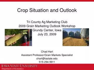 Crop Situation and Outlook