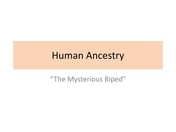 human ancestry