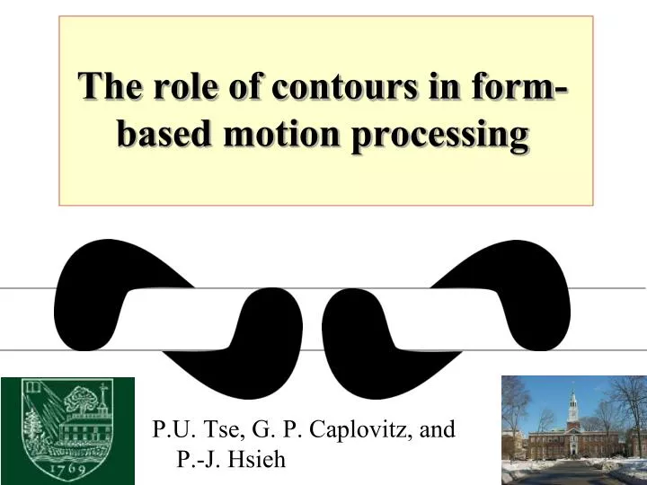 the role of contours in form based motion processing