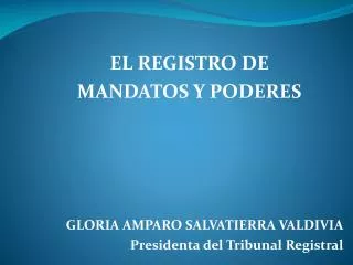 EL REGISTRO DE MANDATOS Y PODERES GLORIA AMPARO SALVATIERRA VALDIVIA
