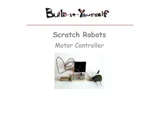 Scratch Robots
