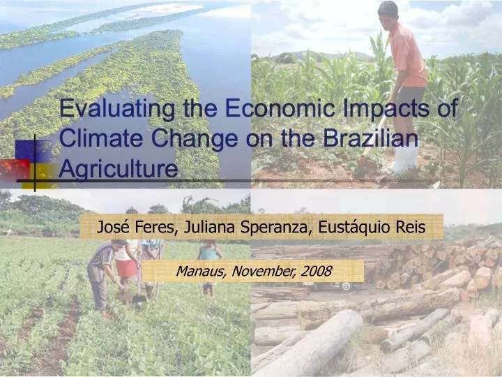 evaluating the economic impacts of climate change on the brazilian agriculture