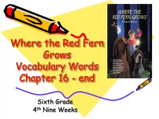 Where the Red Fern Grows Vocabulary Words Chapter 16 - end