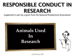 Animals Used In Research