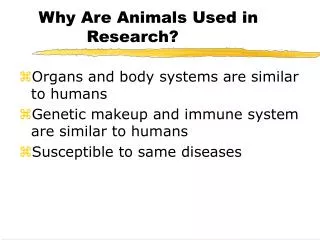 Why Are Animals Used in Research?