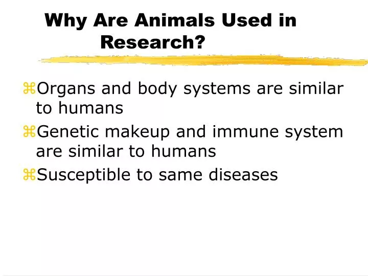 why are animals used in research