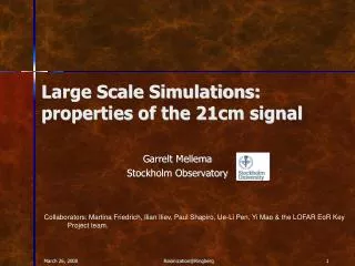 Large Scale Simulations: properties of the 21cm signal