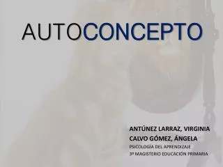 AUTO CONCEPTO