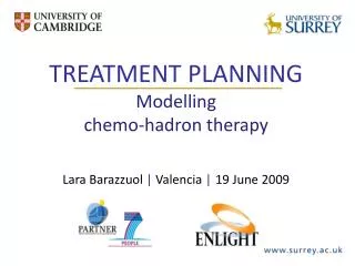 TREATMENT PLANNING Modelling chemo-hadron therapy