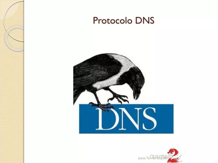 protocolo dns