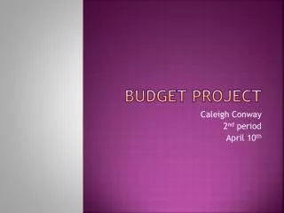 Budget Project