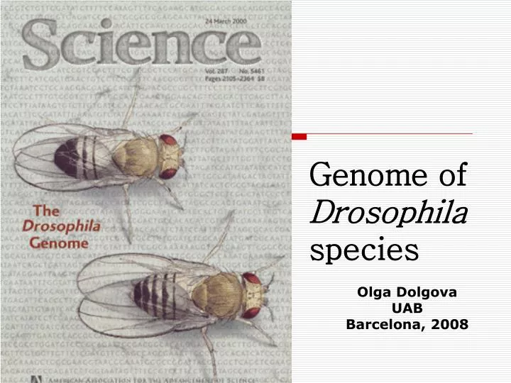 genome of drosophila species