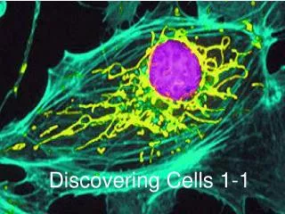 Discovering Cells 1-1