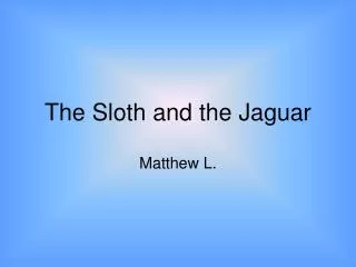 The Sloth and the Jaguar