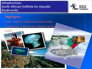 Infrastructure: South African Institute for Aquatic Biodiversity