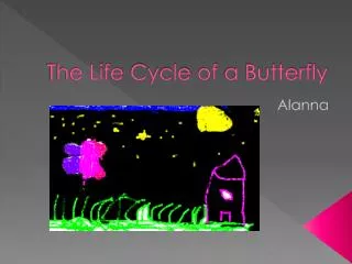 The Life C ycle of a Butterfly