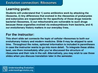 Evolution connection: Ribosomes