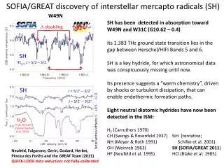 SOFIA/GREAT discovery of interstellar mercapto radicals (SH)