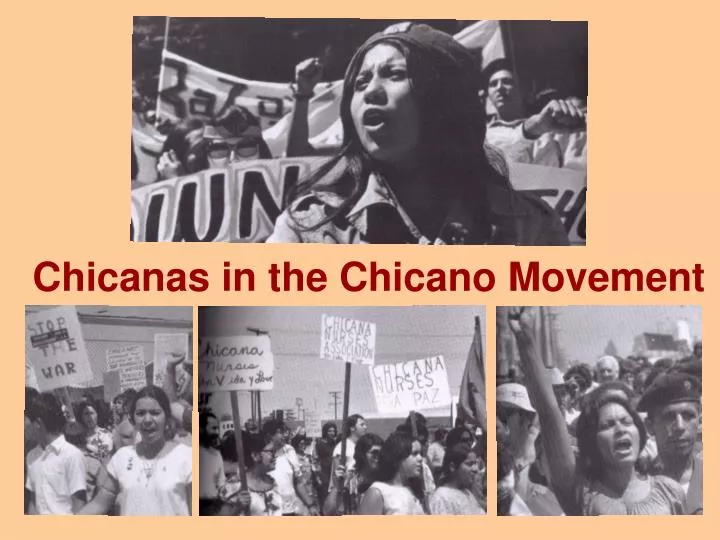 chicanas in the chicano movement