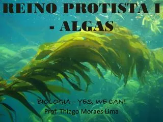 BIOLOGIA – YES, WE CAN! Prof. Thiago Moraes Lima