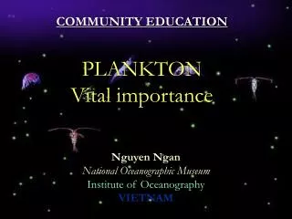 COMMUNITY EDUCATION PLANKTON Vital importance
