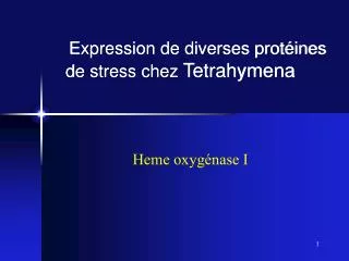 Expression de diverses protéines de stress chez Tetrahymena