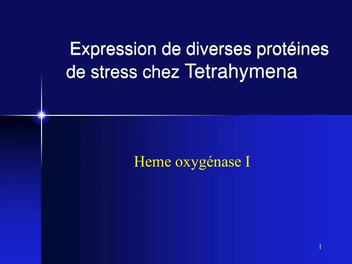 expression de diverses prot ines de stress chez tetrahymena
