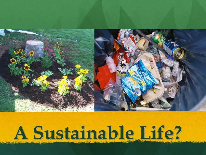 a sustainable life