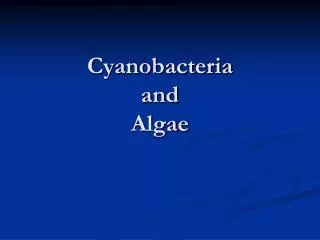 Cyanobacteria and Algae