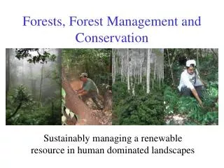 Forests, Forest Management and Conservation