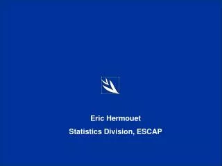 Eric Hermouet Statistics Division, ESCAP