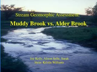Muddy Brook vs. Alder Brook