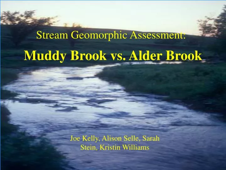 muddy brook vs alder brook