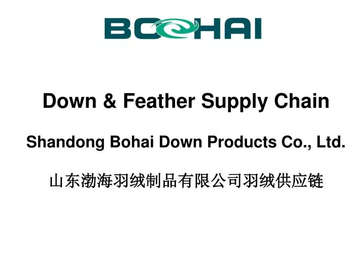 down feather supply chain shandong bohai down products co ltd