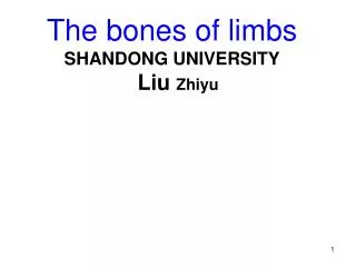 The bones of limbs SHANDONG UNIVERSITY Liu Zhiyu