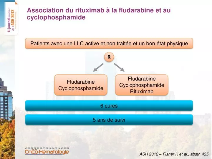 association du rituximab la fludarabine et au cyclophosphamide