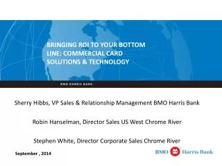 Sherry Hibbs, VP Sales &amp; Relationship Management BMO Harris Bank