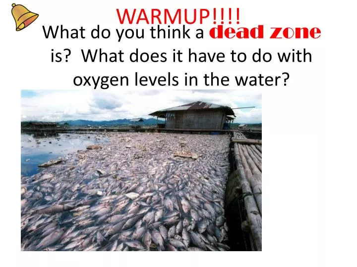 what do you think a dead zone is what does it have to do with oxygen levels in the water
