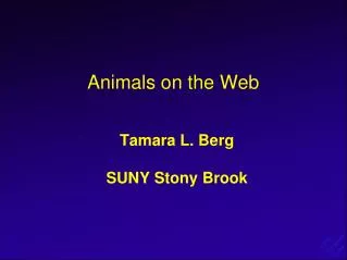 Animals on the Web