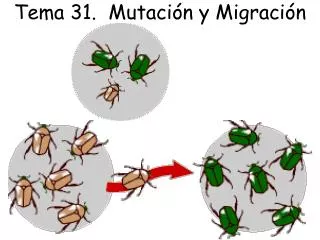 Tema 31. Mutación y Migración