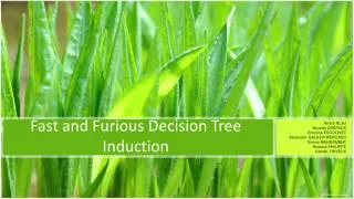 Fast and Furious Decision Tree Induction