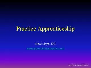 Practice Apprenticeship